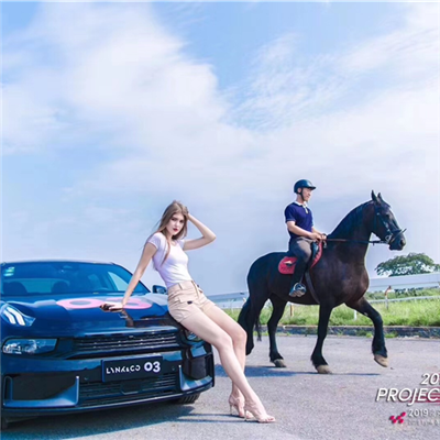 領克03駕控體驗（yàn）營