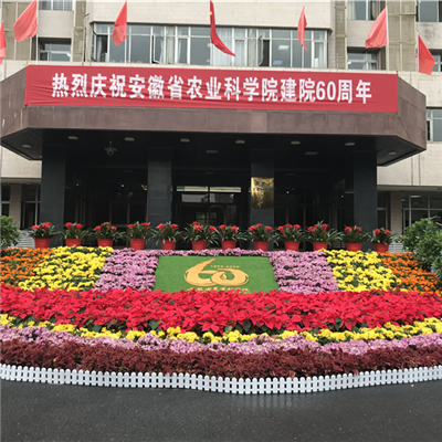 支徽（huī）農（nóng）業科學（xué）院建院60周年（nián）慶